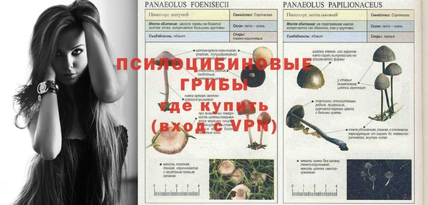 герыч Баксан